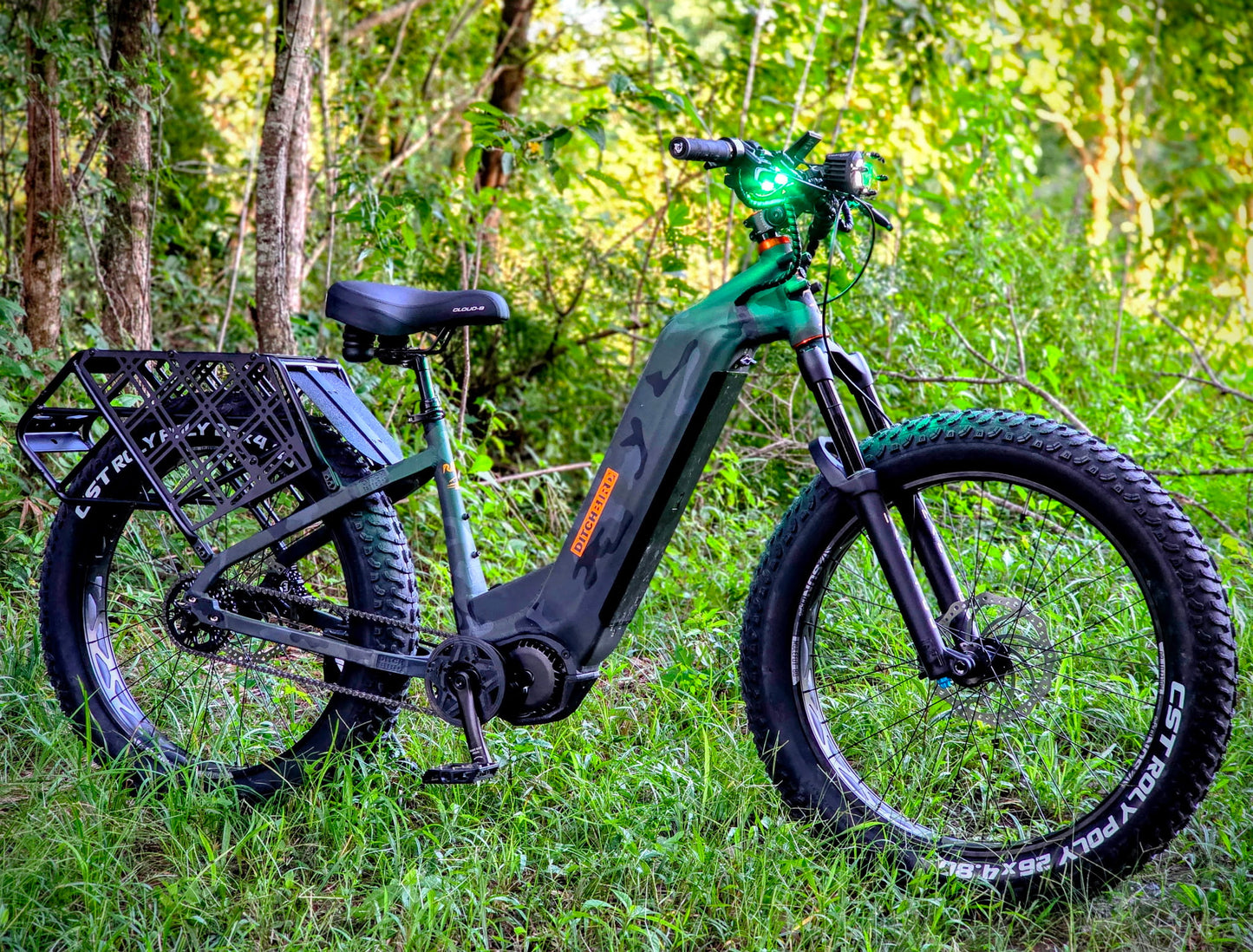 Ditch Bird Custom Wheels E-Bike Giveaway