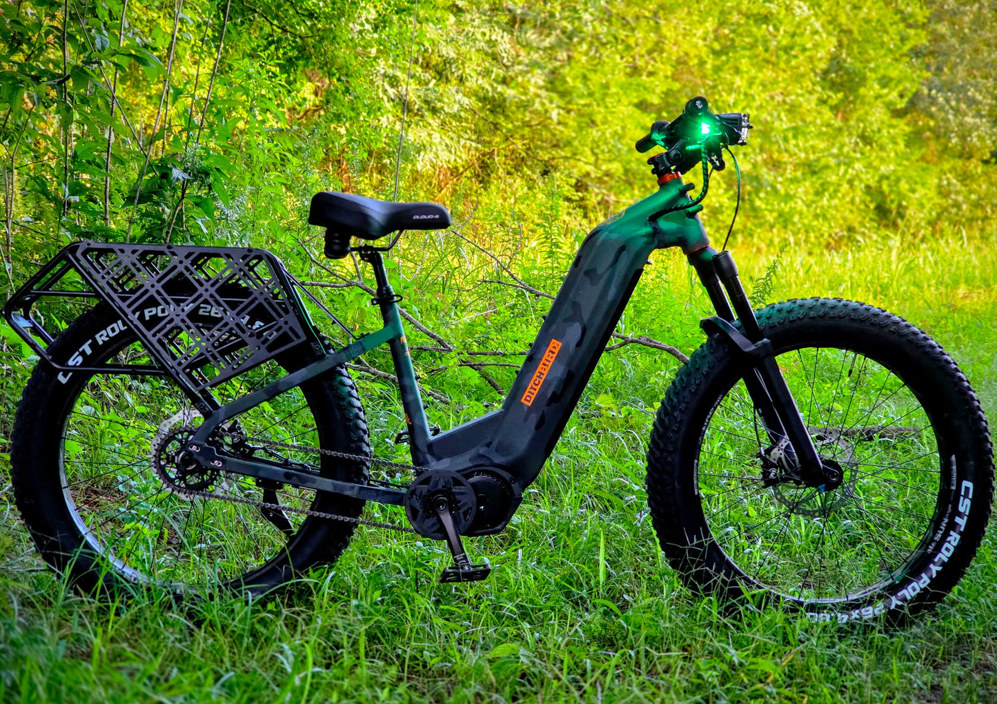 Ditch Bird Custom Wheels E-Bike Giveaway