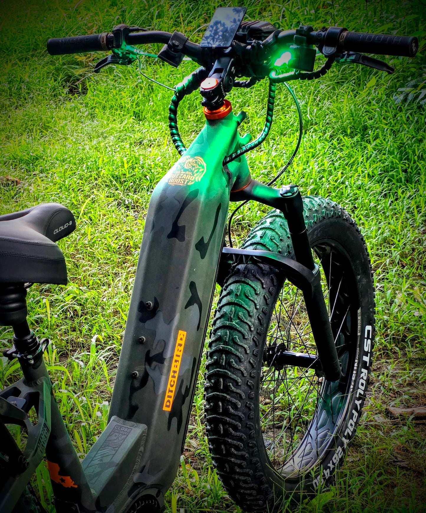 Ditch Bird Custom Wheels E-Bike Giveaway