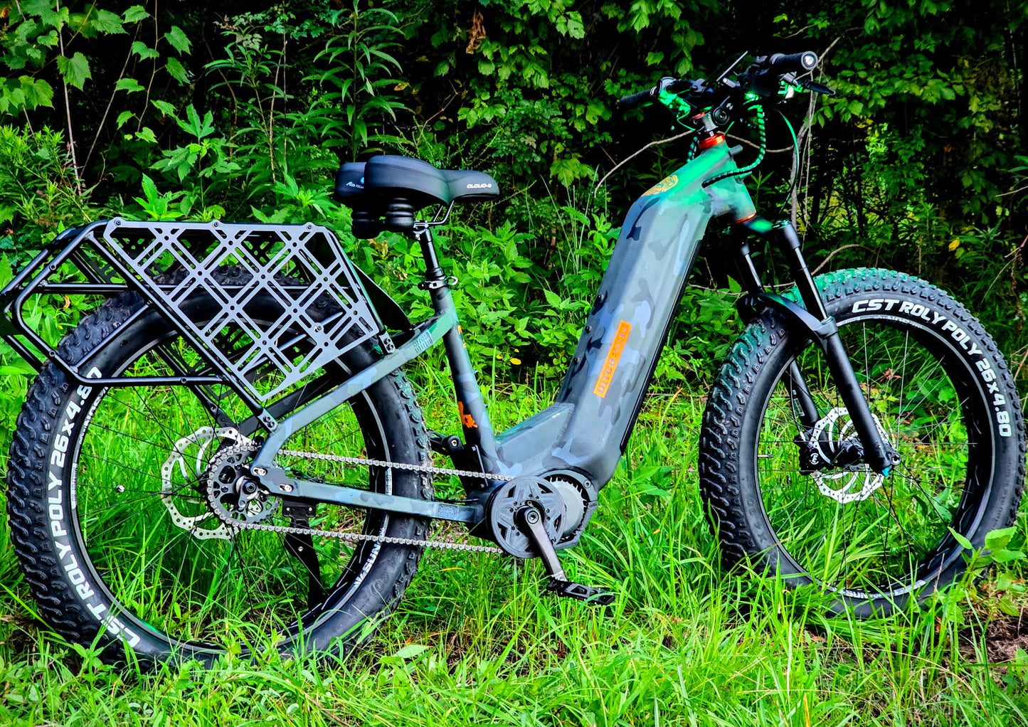 Ditch Bird Custom Wheels E-Bike Giveaway