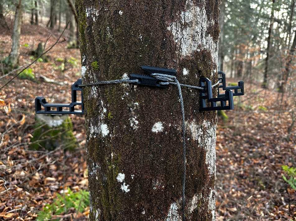 Wayward Wire Bow Hanger