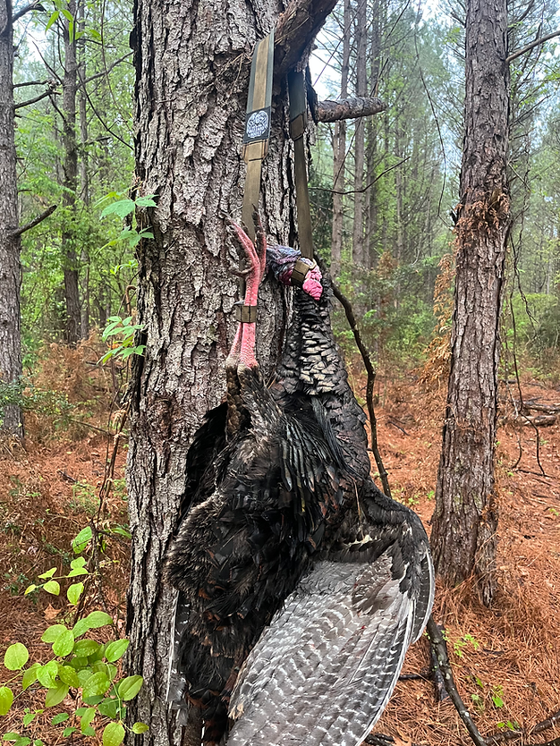 Turkey Tote